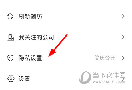 点击“隐私设置”