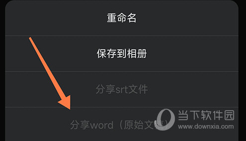 讯飞听见字幕分享word