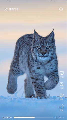 迅雷浏览器宣传图