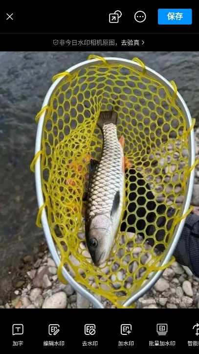 今日相机app使用截图6