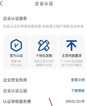 开启企业认证服务方法配图2