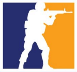 csgo枪战者联盟手游